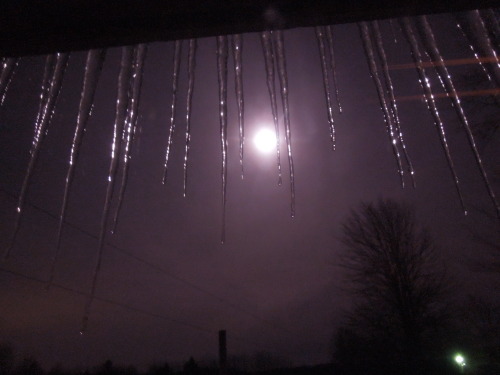 mozart-the-meerkitten:Last full moon of the decade, as seen through my bedroom window, 12/12/19.