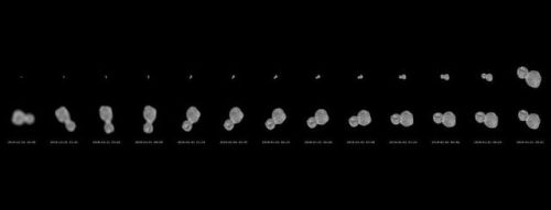 Ultima Thulefarthest away(from earth) object that a space craft has explored shaped like a snowman