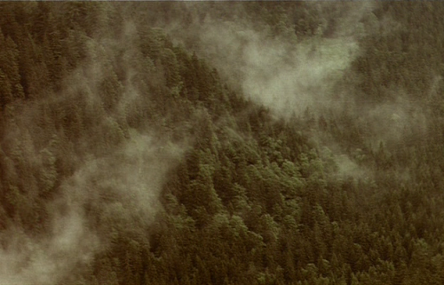 lostinpersona:  Mother and Son, Aleksandr Sokurov (1997) 