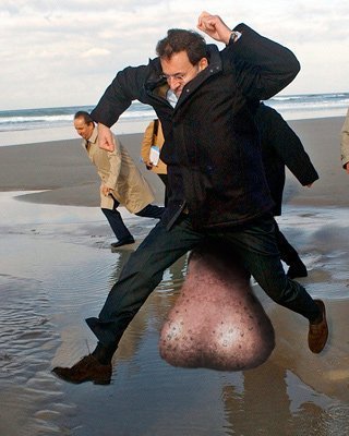 Rajoy pide chops: