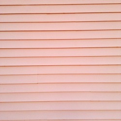 spacegogh:  the sunset was making the side of the house pink 