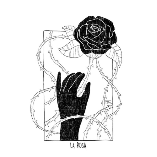 05. LA ROSA