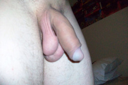 happyhippykid:  Like cocks? You can check out a ton of them here, at “All About the Cock!” Enjoy!
