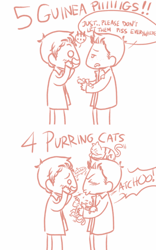 Why Have 12 Days Of Christmas When You Can Have 12 Days Of Destiel