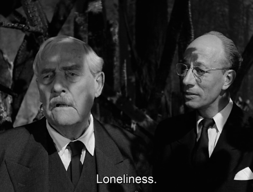 timotaychalamet:Wild Strawberries (1957) dir. Ingmar Bergman