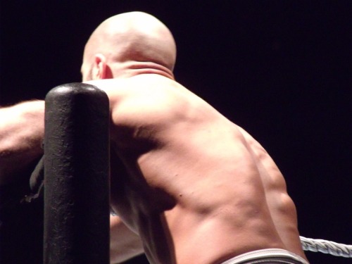 thenighttimemusings:  If you’d ever love a zoomed in close-up of Cesaro’s back, here you go.