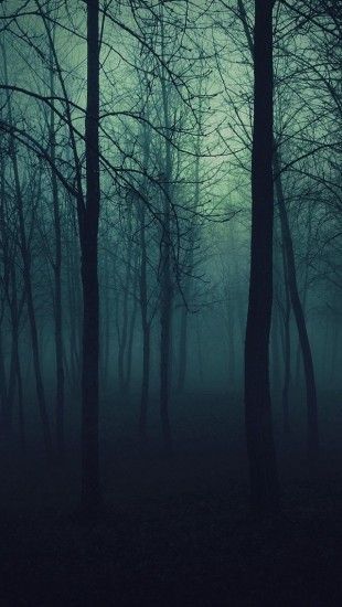 Porn photo wallpaperhipster:  //bosque//