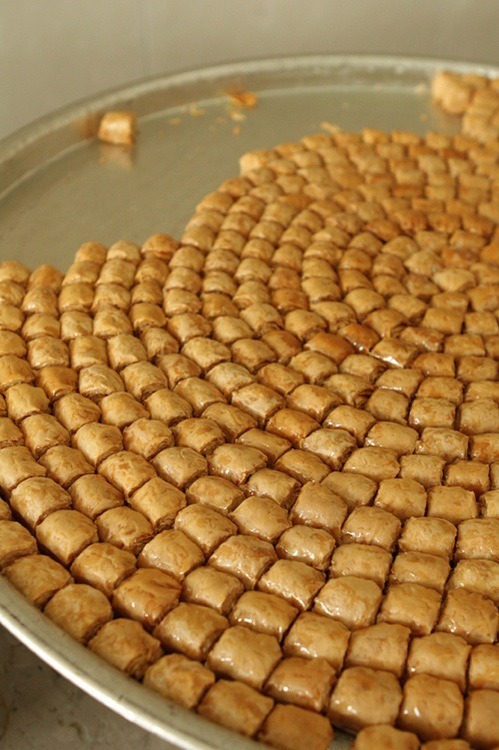 ackanime:  moondustforbrains:  panzerbjoern:  inebriatedpony:  alabina-life:  Turkish baklava. Yummy  If you’re gonna give yourself a sugar hangover, might as well do it the Ottoman way.  NOM  So good.  alsjdflajsl BAKLAVA! I NEED THIS. I NEED TO GO