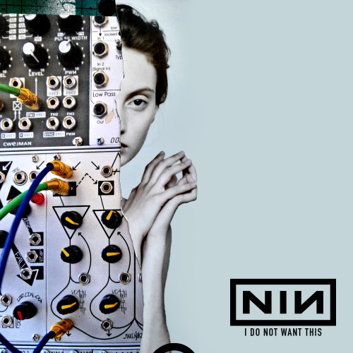 ‘THE DOWNWARD SPIRAL’ - NINE INCH NAILSCOLLAGE: IDEAS DEVELOPMENTTRACK 8: I DO NOT WANT THISI had se