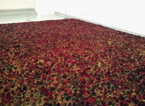 likeafieldmouse:Anya Gallaccio - Red on Green (2012) - The life and death of 10,000 red roses Additi