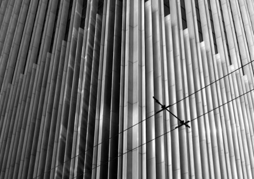 rawbdz: San Francisco Available on : florissexgermain.com/
