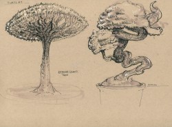 paintcel:  Dragonblood tree and Bonsai. More homework