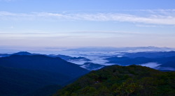 leerhodes:  Back in Asheville for a few days. These were taken from Craggy Gardens about 20 miles north of town off the Blue Ridge Parkway.   I use to park my van out there and sleep sometimes. It was beautiful to watch the fog roll in. One time I was