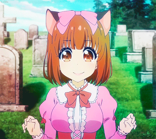 K V3dia