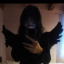 musecorpse