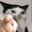 jonincanon