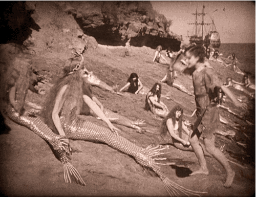 novocainelipstick:  gameraboy:  &ldquo;I seek the crocodile&quot;  Peter