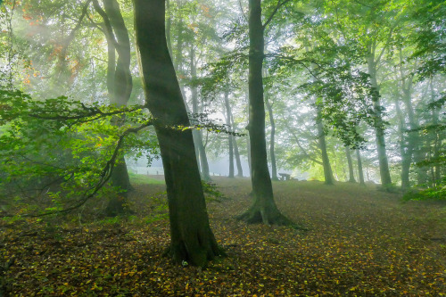 Black Rocks Autumn Derbyshire by Global Visions