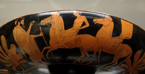 A trainer instructs young equestrians.  Side B of an Attic red-figure kylix (wine-drinking cup with 