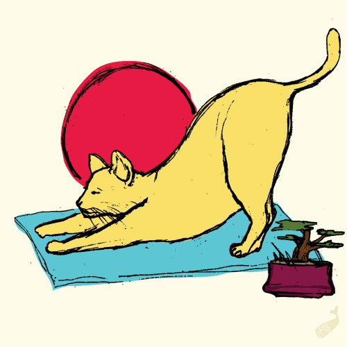 28. Downward facing cat