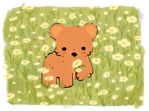 rosarrie:little bear 