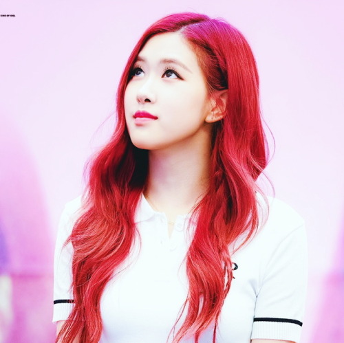 Red Rosé icon ♡ If you save like or reblog please