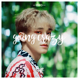 tipannies:EXO: The War - The 4th Album
