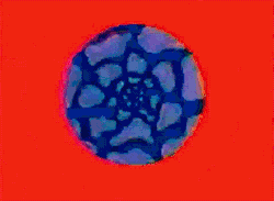 Illusion