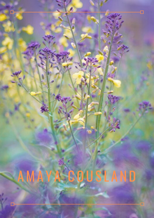 briarfox13: Amaya Cousland Aesthetic Posters 