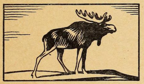 nemfrog:The moose.  Canadian Parade Readers: Work Book for Young Explorers. 1947