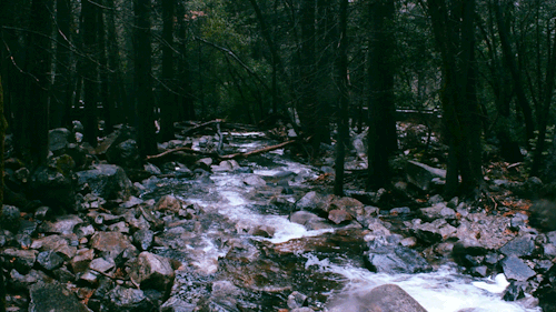 leahberman: river danceryosemite, californiainstagram