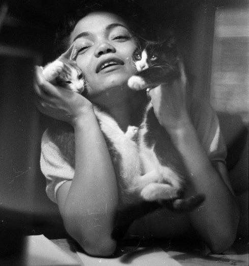 happyheidi:Eartha Kitt with her cats, 1952.Photographed by Gordon Parks for LIFE magazine.