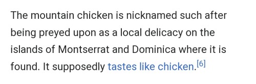 Fun Fact: You Know Why This Frog Is Called Like That? Because Natives Of This Region Used To Hunt And