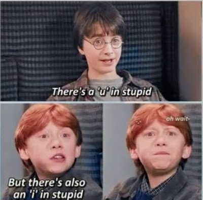 Clean Harry Potter Memes - -Unofficial Weasley