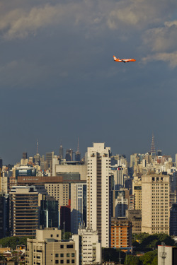 archatlas:  São Paulo Cityscape Matt Mawson