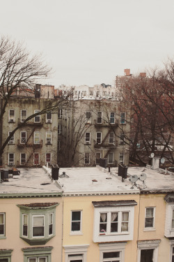 bryant:  bryant:   my rooftop view. brooklyn, new york.  i like sitting on my rooftop when the sun rises.