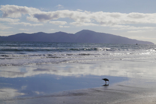 20190626 - Paekakariki Beach, New Zealand