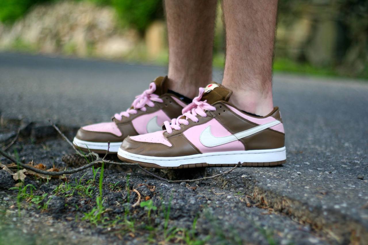 stussy dunk lows