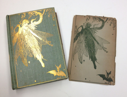 myfoxesandroses: The Olive Fairy Book by Andrew Lang (1907) University of Iowa Special Collections