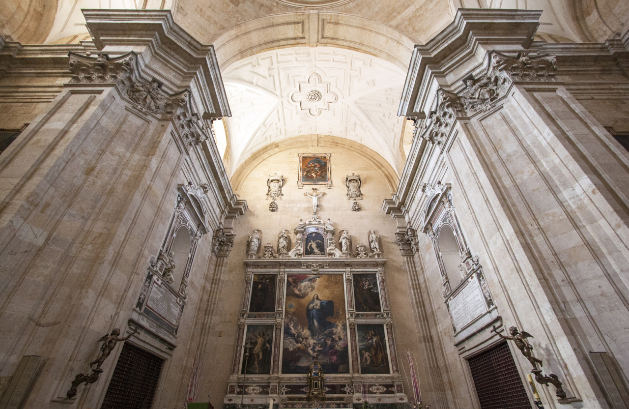 by-grace-of-god:  Salamanca Cathedral, Spain I love that Lawrence OP describes each
