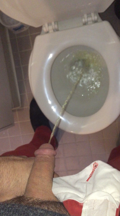 TOXIC PISS BOI