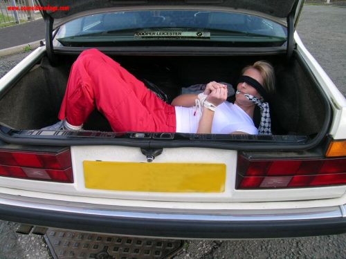 happytie:  “If you are shy,… you can travel in the boot!”