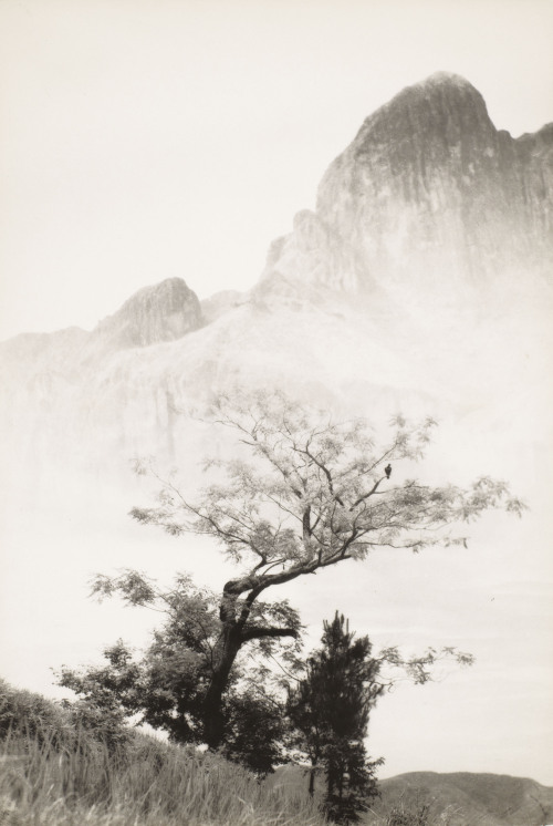 radstudies:Lang Jingshan (Chinese, 1892-1995) - Au Printemps (For the Spring Music of the Waterfall