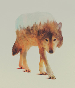 escapekit:  Double Exposure Animal PortraitsNorwegian