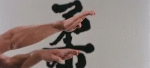 gutsanduppercuts:  Gordon Liu demonstrates his Hung Gar skills in the opening credits