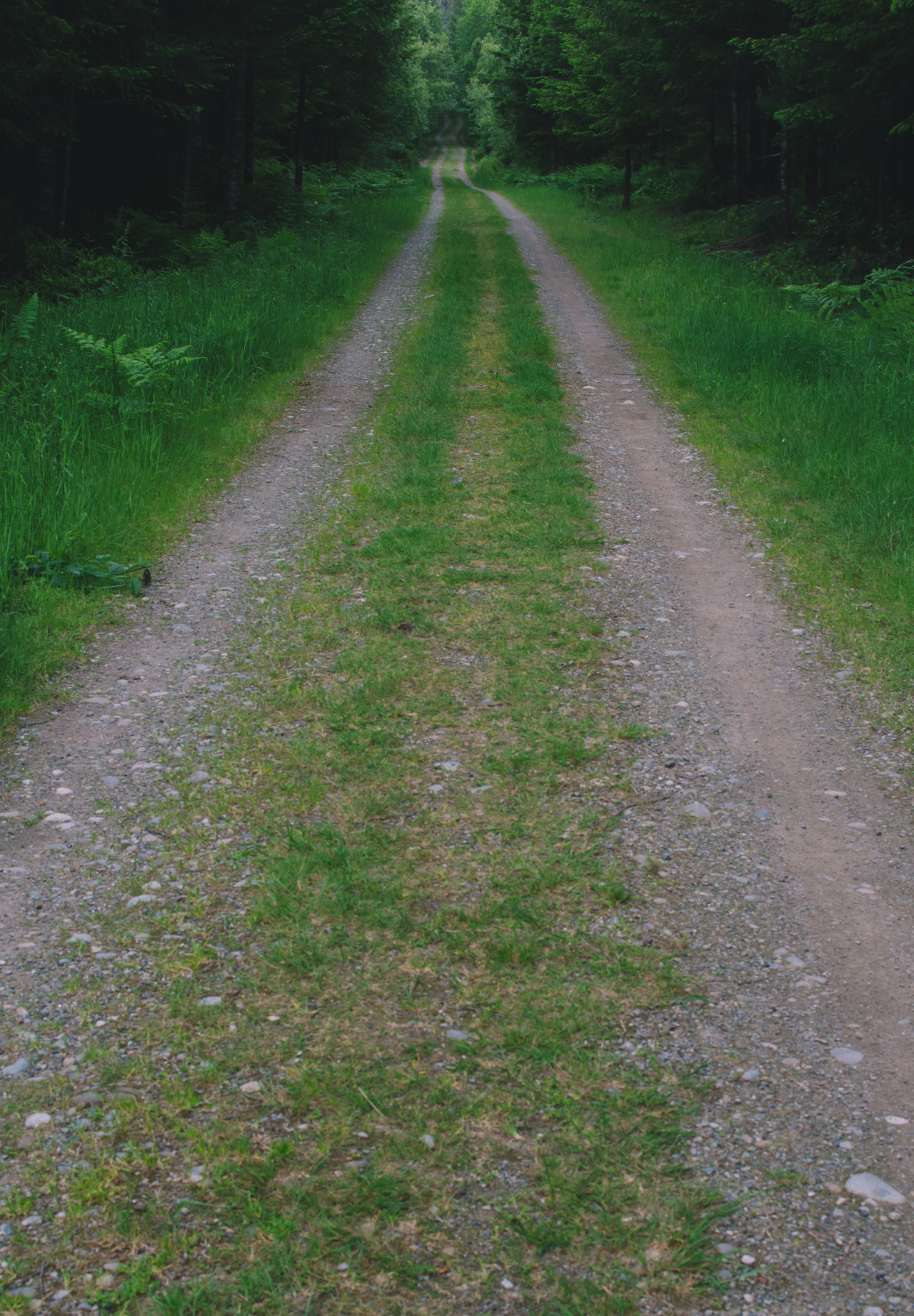 Miles To Go miles-to-go