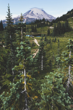 brianstowell: Mount Rainier National Park,