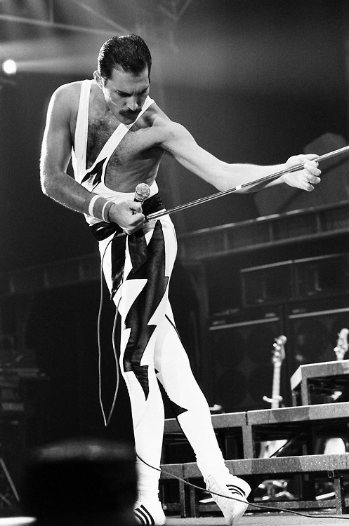 A few shots of Freddie with various dos. The top and the bottom right are essentially the same, with