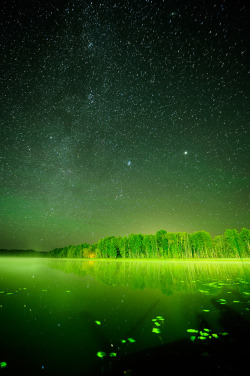  Arthur Kalnins - Night Sky Located in Poland, Daugavpils 