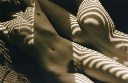Alexikrates: Stripped Nudes Http://Www.michaelgesinger.com 